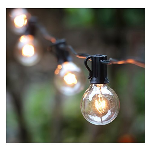 25 Ft G40 Globe Hanging Indoor/Outdoor String Lights with Clear Bulbs, (Black)(Plastic, Incandescent )