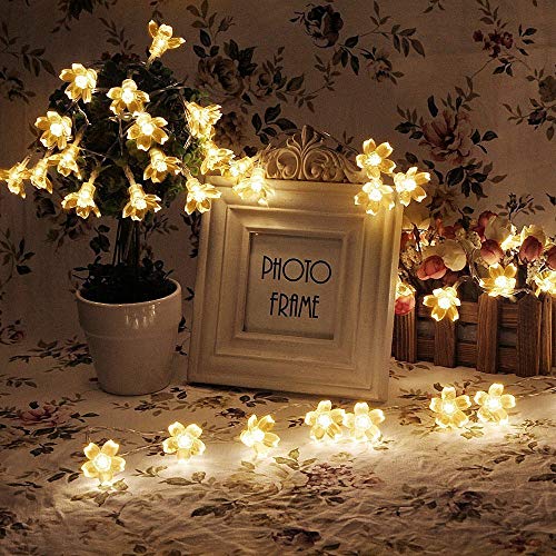 DC String Lights LED Blossom Light Flower for Bedroom and Indoor Christmas Tree Warm Light 20 LED