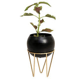 Black Metal Planter with Stand