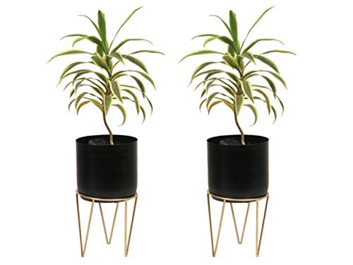 Black Cylinder Metal Planter with Stand (Pack of 2)