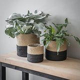Woven Cotton/Jute Plant Basket for Indoor Plants Laundry Organisers, Toy Storage Baskets, Boho Home Decor (Brown-Black Jute (3 pcs)